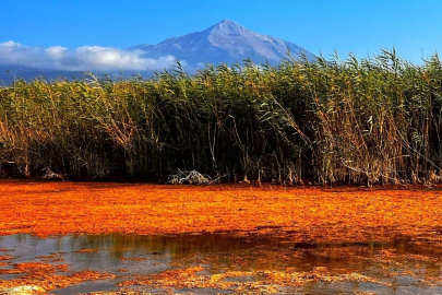 Milleyha Kuş Cenneti için atılan adım, çevrecileri mutlu etti