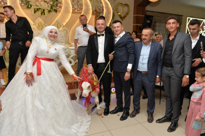 Gelin ve damada ilginç düğün hediyesi: Simental buzağı