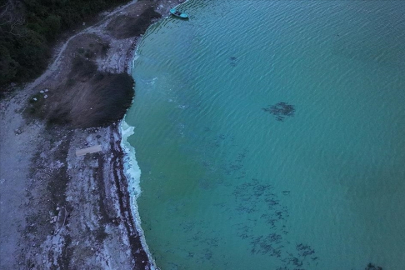 Terkos Barajı'nda suyun bazı bölümleri yeşile büründü