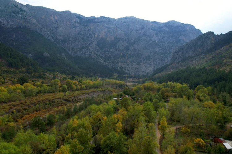 Belemedik Tabiat Parkı sonbaharda renk cümbüşüyle ziyaretçilerini bekliyor 3