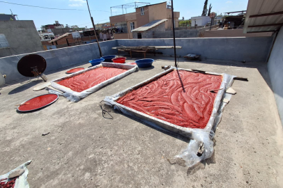 Adana'da 'beyaz altının' yerini 'kırmızı altın' aldı: Tescilli Karaisalı biberiyle salça mesaisi başladı