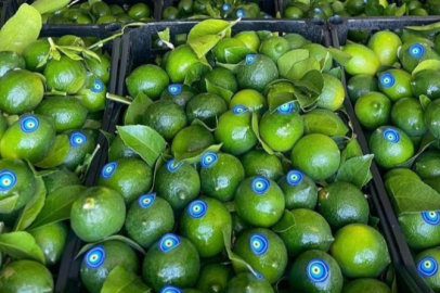 Mehmet Akın Doğan: “Limon ihracatındaki kısıtlamalar pazar kaybına yol açabilir”