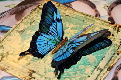 Sanatseverler Kat'ı ve rölyefin büyüsünü keşfetti