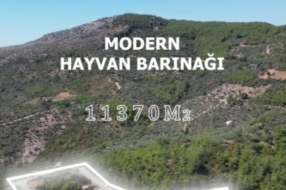 Adana Kozan’da modern hayvan barınağı hizmete hazırlanıyor