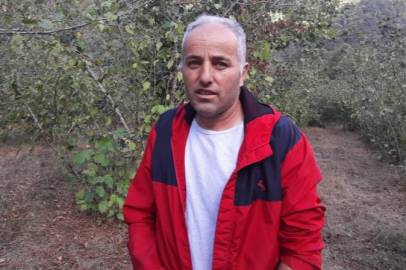 Mudurnu’da fındık bahçesinde dehşet!