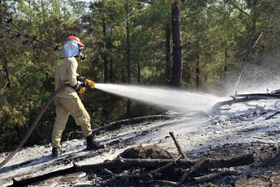 Ekiplerin koordineli mücadelesi alevlere geçit vermedi