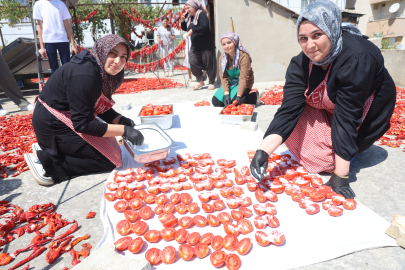 Hatay'da depremzede kadınların kuruttuğu domatesler, kış aylarında sofraları süslüyor