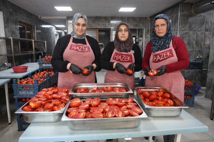 Hatay'da depremzede kadınların kuruttuğu domatesler, kış aylarında sofraları süslüyor 2