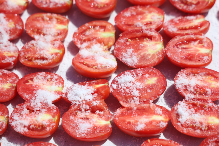 Hatay'da depremzede kadınların kuruttuğu domatesler, kış aylarında sofraları süslüyor 3