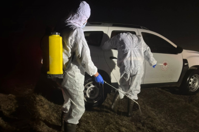 Gümüşhane’de şap alarmı: 5 Köy karantinaya alındı