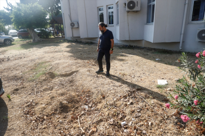 Mersin'de 4 yıl önce gömülen Fin balinası bilim için topraktan çıkarılıyor