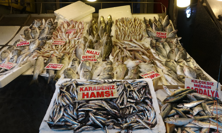Mersin'de av yasağı sona erdi Balık tezgahları şenlendi, fiyatlar yarı yarıya düştü 2