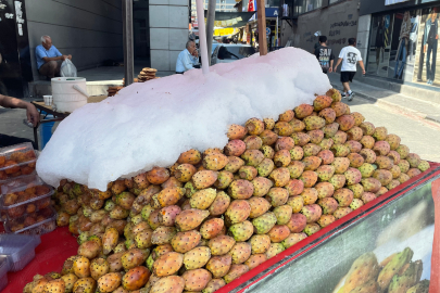 Adanalılar sıcaklara dikenli incirle meydan okuyor