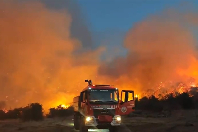 Balıkesir'de çıkan orman yangınına müdahale ediliyor