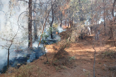 Çanakkale'de ormanlık alanda çıkan yangın kontrol altına alındı