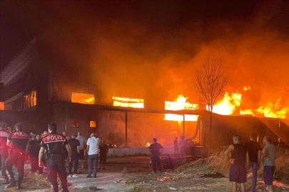 İzmir'de mobilya fabrikasında yangın çıktı