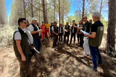 Sahada eğitilmiş orman mühendisleri yetişiyor