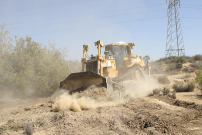 Yüreğir’de sokak hayvanları için dev proje: 100 Bin metrekarelik yaşam alanı kuruluyor