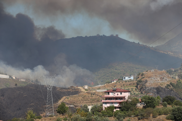 alanya orman yangını