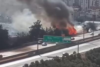 Adana'da otoyol kenarında otluk alan yangını