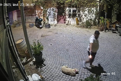 İzmir Urla’da eski sevgili dehşeti: Kadın hayatını kaybetti, şüpheli ölü bulundu