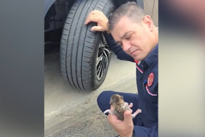 TOGG'un motorunda doğan 6 yavru kedi kurtarıldı
