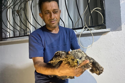 Osmaniye’de çiftçi, aç kalan şahine ciğer dürüm söyledi