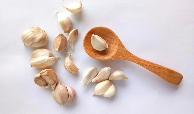 Vücudu Toksinlerden Arındırır