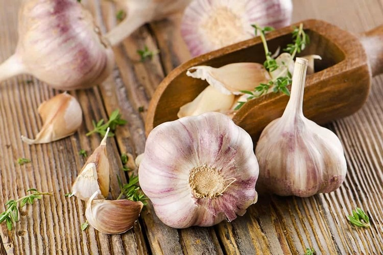 Sindirime Yardımcı Olur