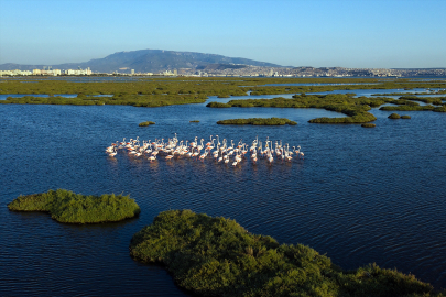 Sonbahar kuş göçüne tanıklık fırsatı