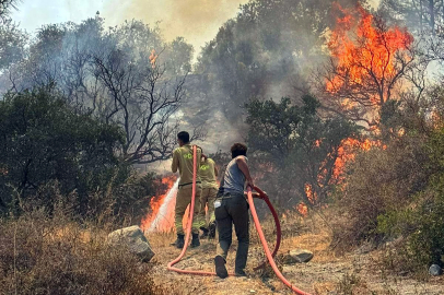 Gelecek nesiller için ortak ses: İklim Ağı