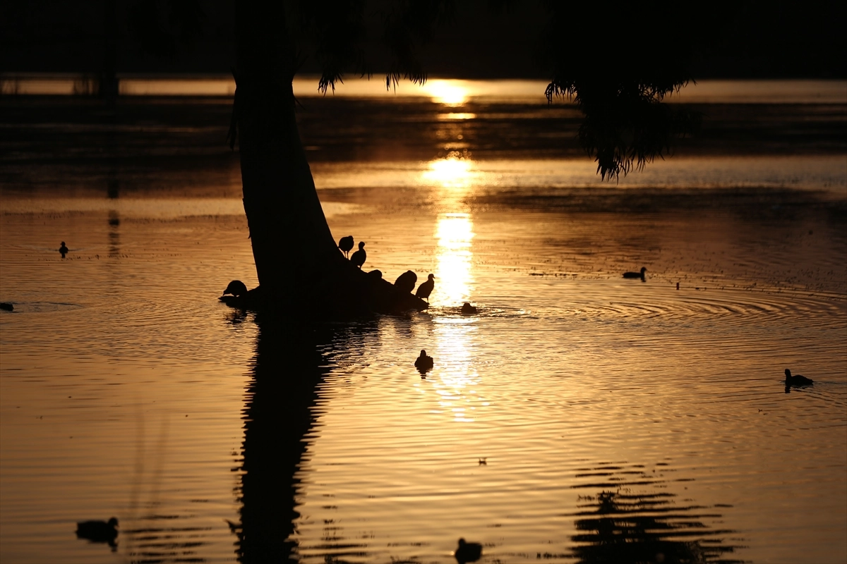 Adana’da gün doğumu: Seyhan Nehri üzerinde büyüleyici manzara