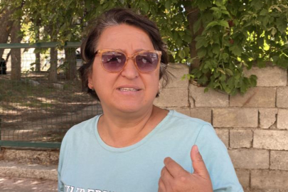 Burdur'da sokak köpeklerinin saldırdığı kadın yaralandı