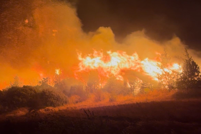 Bursa’da orman yangını köylere ulaştı, tahliyeler başladı
