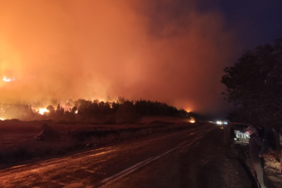 Karacabey’de orman yangını yerleşim alanlarını tehdit ediyor