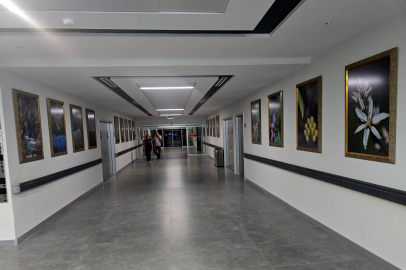 ‘Benim Güzel Türkiyem’ sergisiyle Türkiye rekoru Adana’dan geliyor