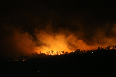 Bursa'da çıkan orman yangını kısmen kontrol altına alındı