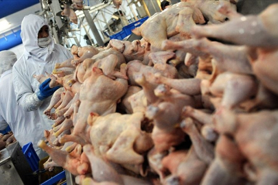 Rekabet Kurulu’ndan piliç eti üreticilerine 3,7 milyar TL ceza