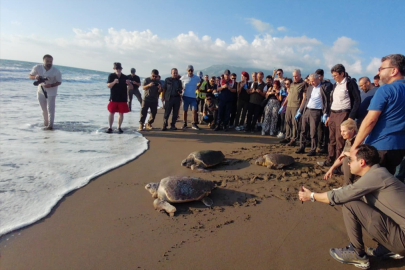 Hatay’da tedavileri tamamlanan 4 caretta caretta denizle buluşturuldu