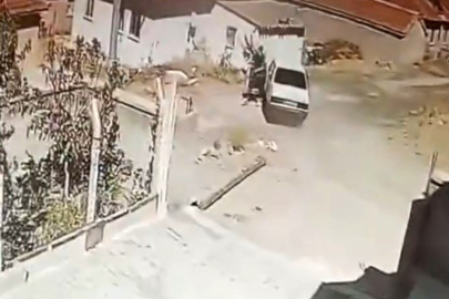 Araç sürerken yılanla karşılaşan sürücü korku dolu anlar yaşadı