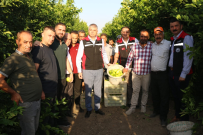 İl Tarım ve Orman Müdürü Bayazıt, Adana’daki tarım ve su ürünleri tesislerini inceledi