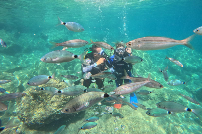 Marmaris’te dalış turizmi göz kamaştırıyor