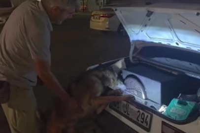 Ucuza bulunca almış: Hoparlörden 2 bine yakın uyuşturucu hap çıktı