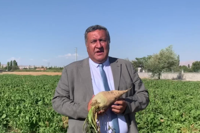 Gürer: Şeker pancarı üretiminde sürdürülebilirlik tehlikede