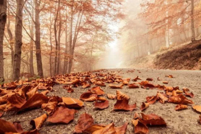 Hoş Geldin Ekim! İşte 2025'e özel en güzel, duygusal ve anlamlı Ekim ayı mesajları, sözleri ve şiirleri