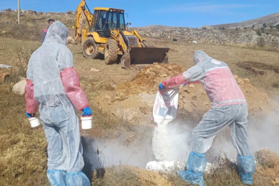 Gümüşhane’ de şarbon şüphesi nedeniyle 6 köyde önlem alındı