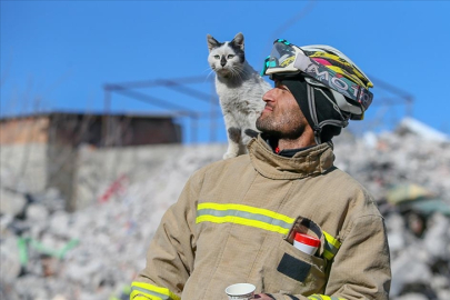 4 Ekim ne günü? Dünya Hayvanları Koruma Günü neden kutlanıyor?