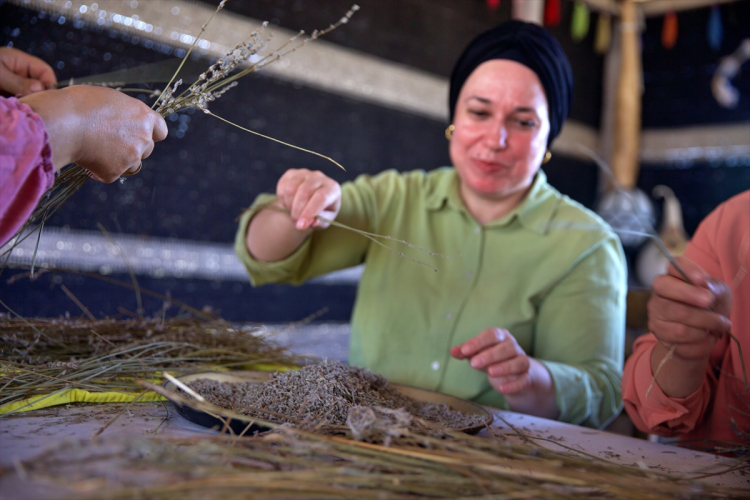 osmaniye lavanta bahçesi