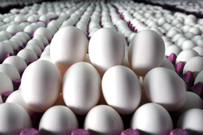 Gıdada Eylül ayının zam şampiyonu yumurta oldu: Fiyatlar neden arttı, kuş gribi tehlikesi var mı?