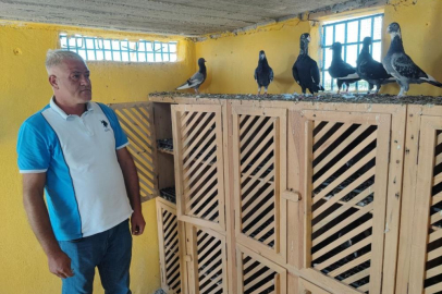 Adana’da kayıp güvercinlerini bulana 100 bin TL ödül!